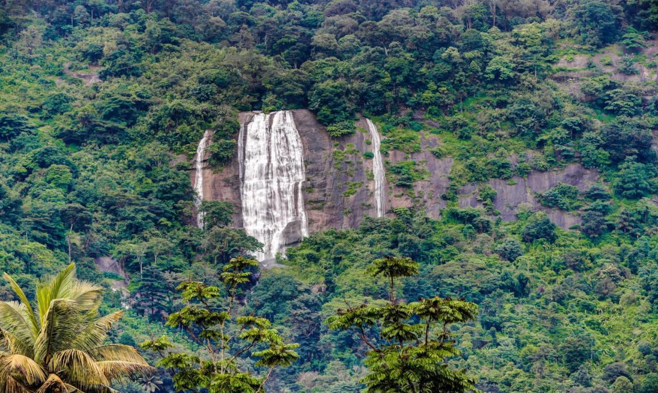 Treebo Trend Misty Garden Resorts With Mountain View Munnar Extérieur photo